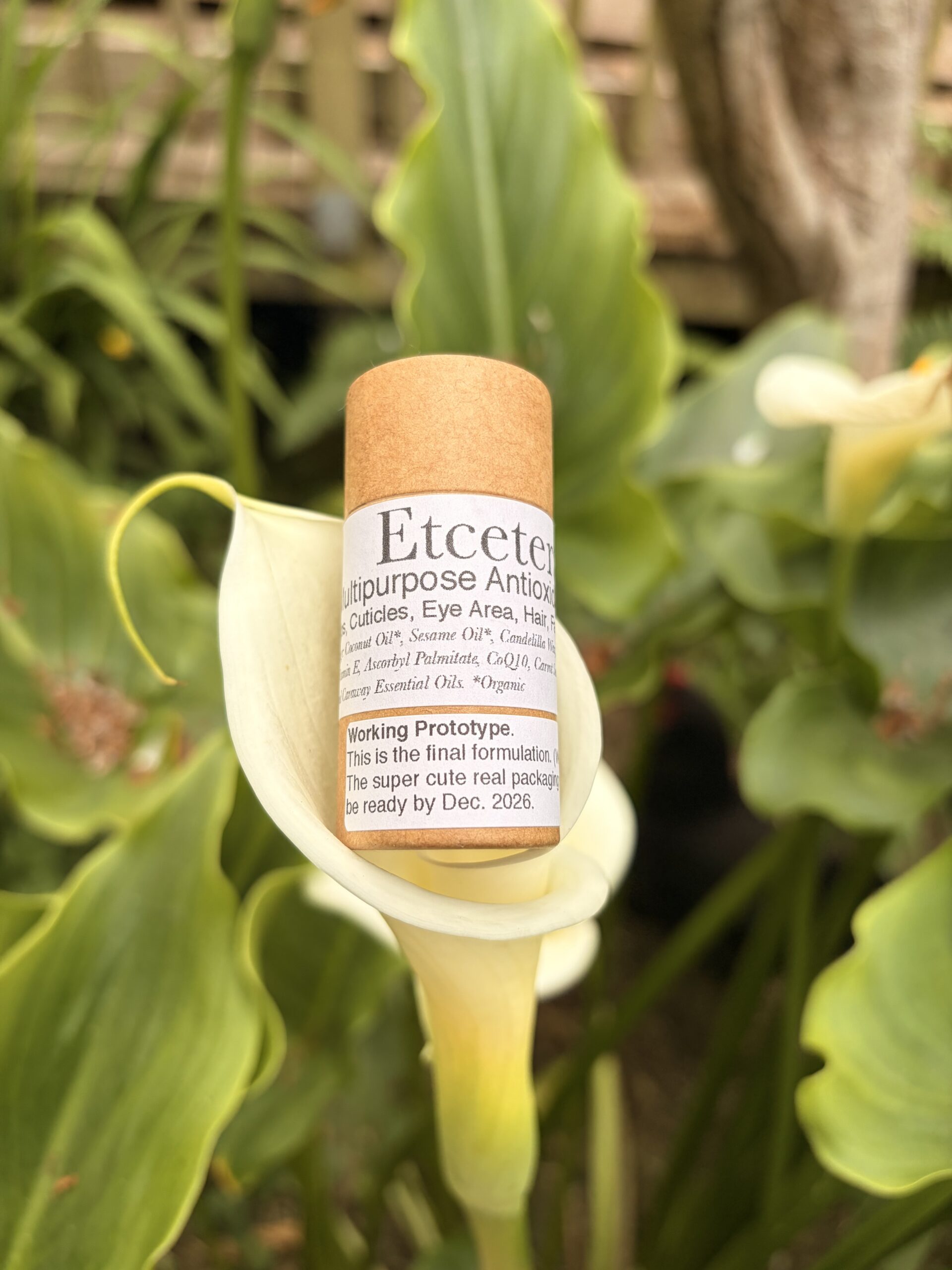 Etcetera